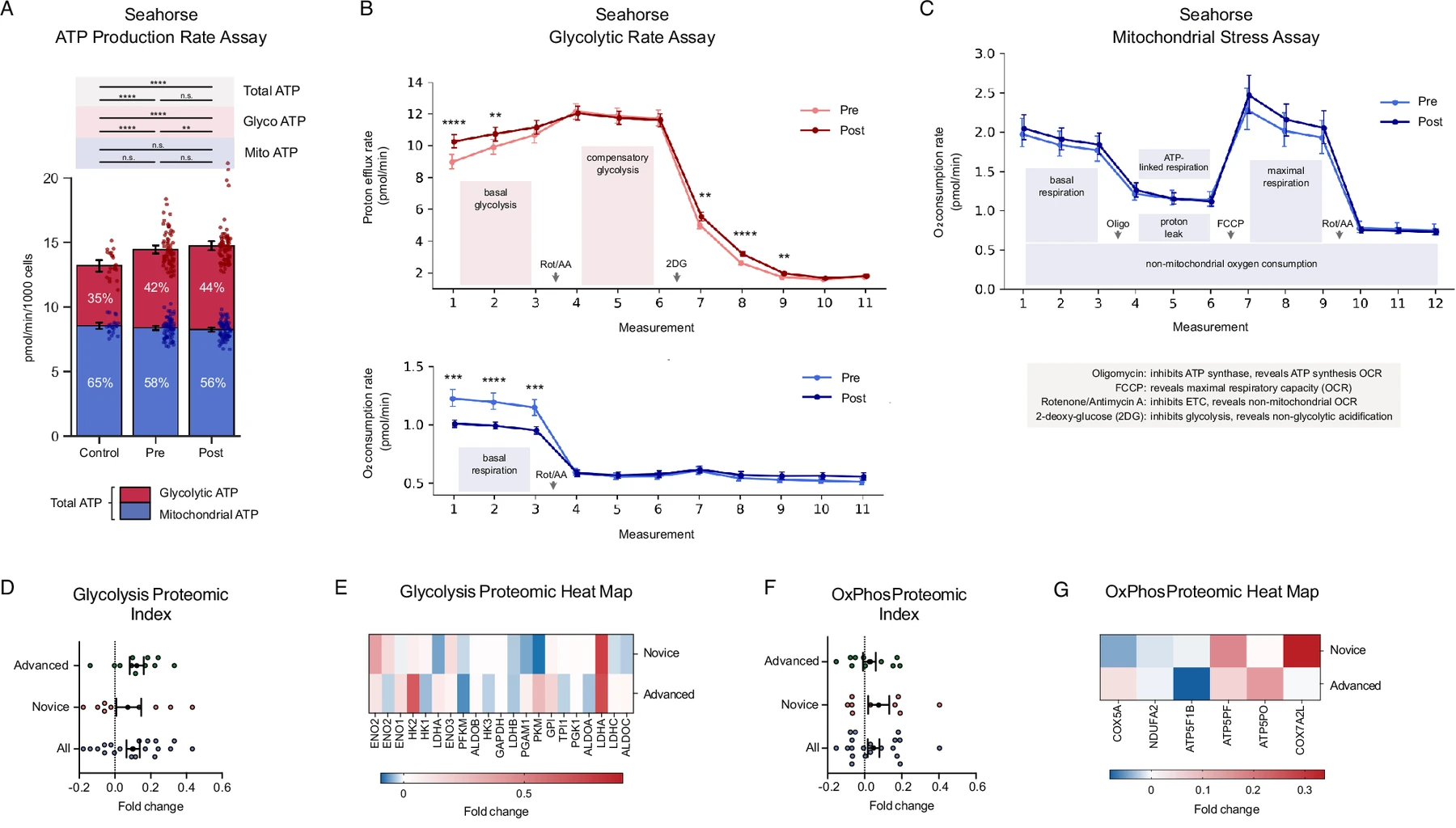Glycolytic and mitochondrial metabolic effects from the published study